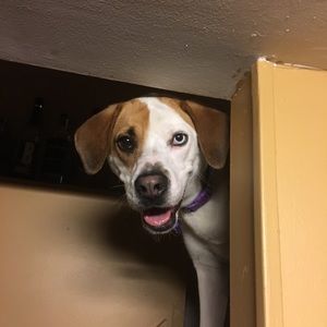 Meet your Posher, Gue